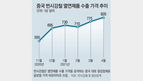 철강업계 봄바람 살랑… 세계시장 수요 늘고 中은 감산 움직임 