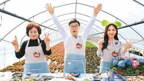 쌈(3)으로 하나(1) 되는 31일은 ‘쌈데이’ 입니다