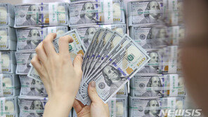 국채 비율 높으면 재정 위기?…“자국민 보유 비중 높아 안정적”