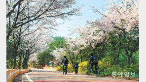 장봉도서 만끽하는 봄 정취