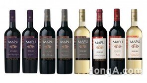 아영FBC, 프랑스 담은 칠레 와인 ‘마푸 시리즈’ 8종 국내 출시
