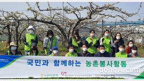 [포토]농협 지역사회공헌부, ‘국민과 함께하는 농촌봉사활동’ 실시