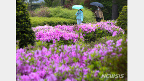 주말 또 비소식…토요일 곳곳 천둥·번개 소나기 예고
