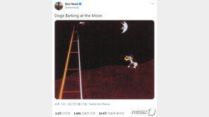 일론 머스크의 ‘도지코인’ 사랑…올들어서만 4600% 폭등