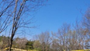 “때렸지만 죽이진 않았다”…‘미륵산 시신 유기’ 70대 검찰 송치