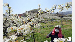 [날씨]18일 맑지만 건조한 일요일…일교차 15도 안팎 ‘건강유의’