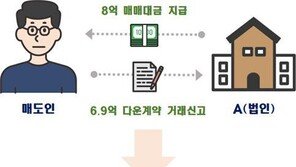 외지인이 여러 채 싹쓸이…정부, 이상거래 244건 잡아냈다