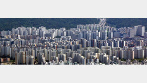 지방 부동산 다운계약·탈세 등 불법 난무…244건 적발