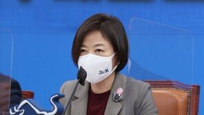 “아파트 환상 버리라”던 진선미, 與부동산특위장에