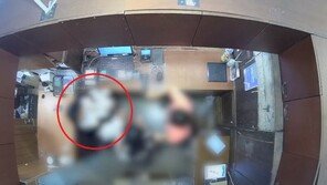 뒤통수 이어 뺨까지…벨기에 대사 부인 폭행 CCTV 공개 (영상)
