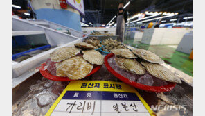 일본산 가리비·참돔 등 수입 수산물 원산지 특별 단속