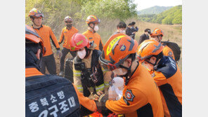 충북도 산불진화 헬기 추락…1명 심정지·1명 구조