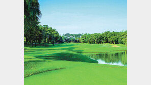 합리적 가격으로 프리미엄 회원 혜택 누린다