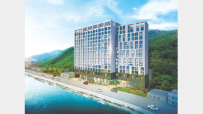 ‘아름다운 섬’ 울릉도에 글로벌 체인호텔 들어선다