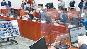 민주당 화상 의총