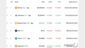 도지코인 하루 만에 폭락세 끊고 반등 성공, 32센트 수준