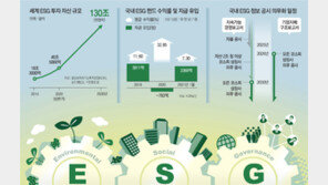 정부, ‘한국형 ESG 지표’ 연내 만든다