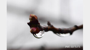 [날씨]전국 흐리고 곳곳 비…‘초여름 더위’ 누그러져