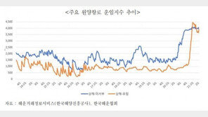 해상운임 강세 장기화…무역협회 “물류비 절감 방안 고려해야”