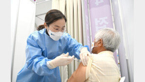 코로나 장기전 대비 나선 정부 ‘확진자 수 정체 전략’ 성공하려면