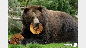 비트코인 8%, 도지코인 17% 폭락…반토막 향해 가나