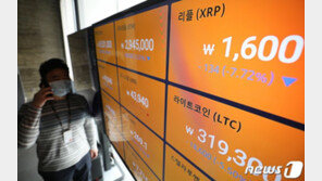 “애들 용돈도 코인으로”…주부·청소년까지 겁없는 투자