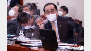 태영호 “정부, 백신 없어 美에 달라붙는 모양…정상회담서 논의해야”