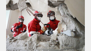 경기도 119 전화 17.5초에 한 번꼴 울렸다