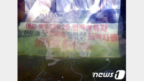 유엔보고관 ‘대북전단법’ 우려 서한…정부 “충실히 자료 제공”