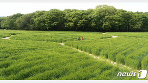 [날씨]25일 아침 최저 8도 서늘한 ‘봄날씨’…소나기 소식도