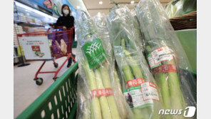 ‘金파·달걀’ 심하다 했더니…韓밥상물가 상승률 OECD 최상위