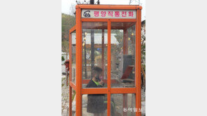 [고양이 눈]짝사랑