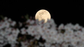 [날씨]아쉽다, ‘슈퍼문’…전국 곳곳 흐리고 빗방울