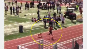 육상대회 1등은 개?…경기장 난입한 ‘우사인 댕댕이’ (영상)