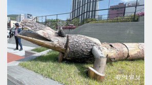 나무로 만든 악어