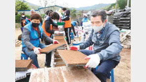 못자리 만들기 나선 시장님