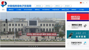 [단독]北 해산물·그림… 수출 금지 품목인데 온라인서 버젓이 판매 