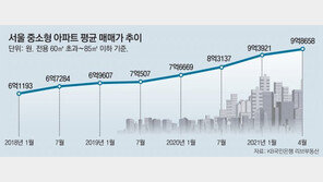 서울 중소형 아파트도 평균 10억… 젊은층 집장만 더욱 어려워져 