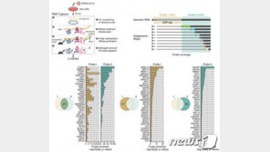코로나바이러스 억제 단백질 찾았다…치료제 개발 전환점 기대