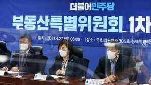 與 부동산 정책 ‘백가쟁명’…새 지도부 오면 교통정리 될까