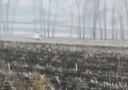 “시속 100㎞쯤 되는 듯”…中 야생 호랑이 습격에 ‘덜덜’ (영상)