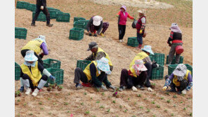 농업 효자상품 ‘쪼그리’ 지원 사업, 상품은 ‘좋아요’ 규정은 ‘글쎄’