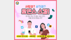 신분 위장해 SNS서 여성 돈 뜯은 외국인 2명 구속