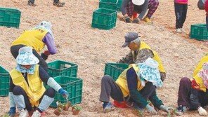 농촌 필수품 된 ‘쪼그리’…지원사업 ‘좋아요’ 규정은 ‘글쎄’