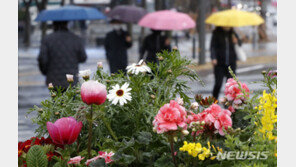 전국 곳곳 비 내려…황사 섞인 ‘흙비’ 가능성도