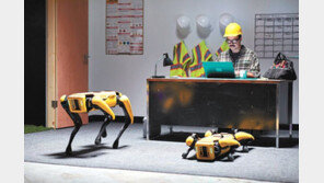 로봇-도심항공 등 속속 개발… 미래 모빌리티 시장 선도