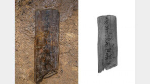 대구 팔거산성서 7세기초 신라 목간 11점 첫 출토