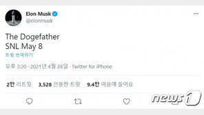 머스크, 혁신 기업가인가 암호화폐 투기꾼인가?