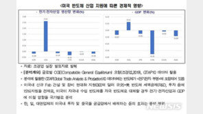 “美 반도체 지원 본격화 땐 中 이어 한국이 타격 커”