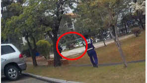 경남 창원 초등학교 운동장에 멧돼지 출몰…대처법은?